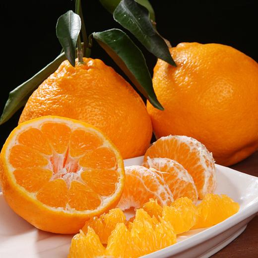 吉祥袁 爆汁春见超甜粑粑柑 | 水果礼盒 商品图1