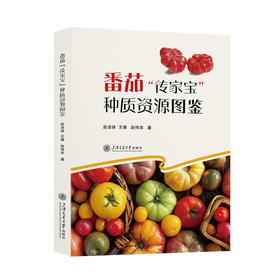番茄“传家宝”种质资源图鉴