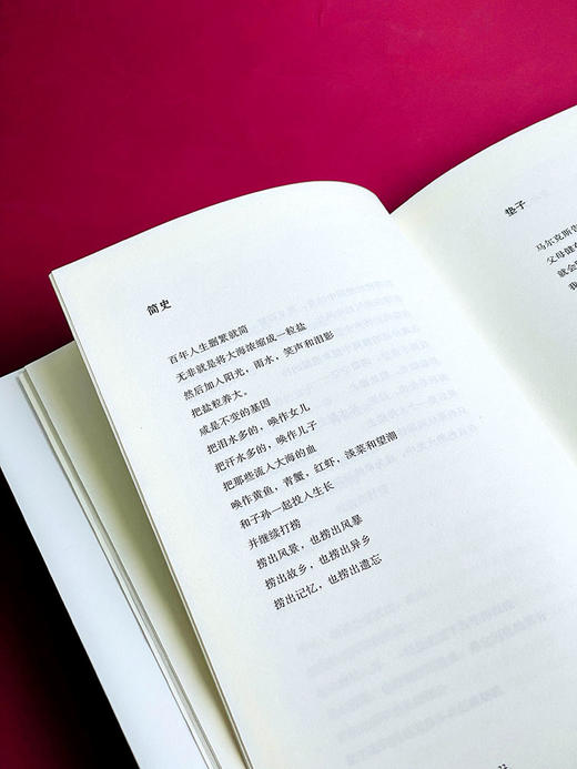 盐的家族 缪克构著精装版 诗歌作品精选集  海洋气息新鲜别致的意象与想象 人类学风俗史价值 正版 华东师范大学出版社 商品图10