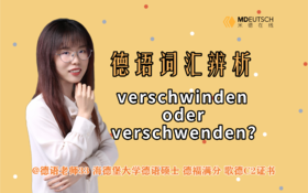 词汇辨析：verschwinden oder verschwenden