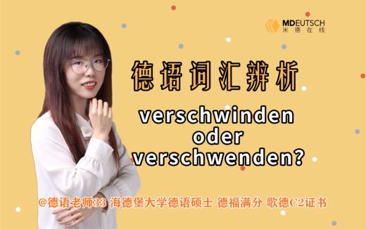 词汇辨析：verschwinden oder verschwenden 商品图0