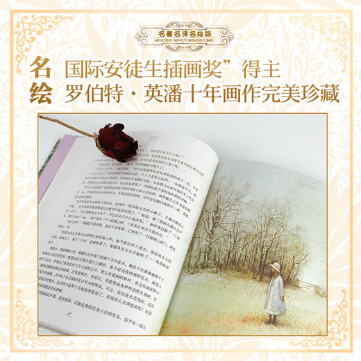名著名译名绘：精装全译插图版大礼盒（全13册） 商品图3