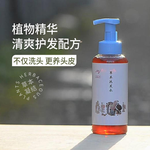 美泰罗草本洗发水 商品图1