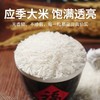 探禾广府丝苗米2.5KG 商品缩略图1