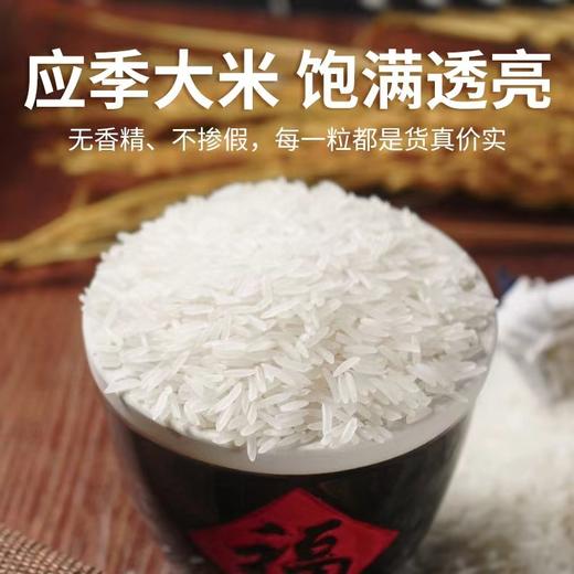 探禾广府丝苗米2.5KG 商品图1