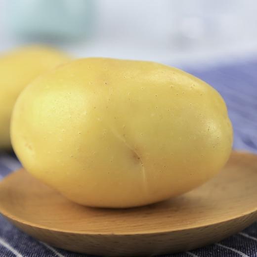 【果实饱满 肉质肥厚！黄皮土豆】自然成熟、农家肥培 育、品质可靠、安全 放心 产地直销土豆 商品图3