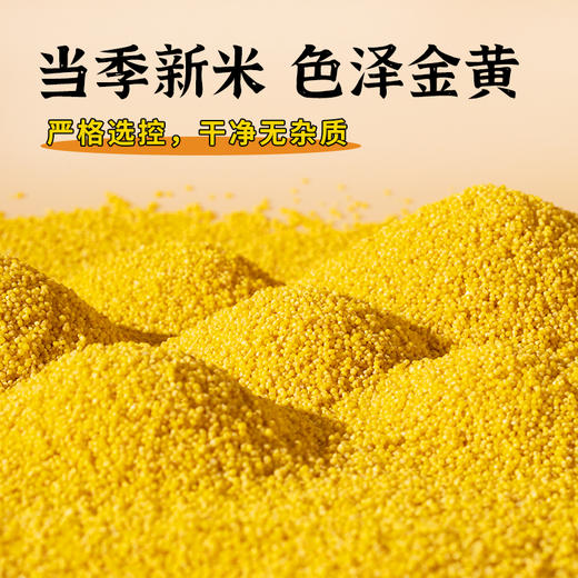 蒙清200g有机小香米10袋组合【新粮上市】 商品图7