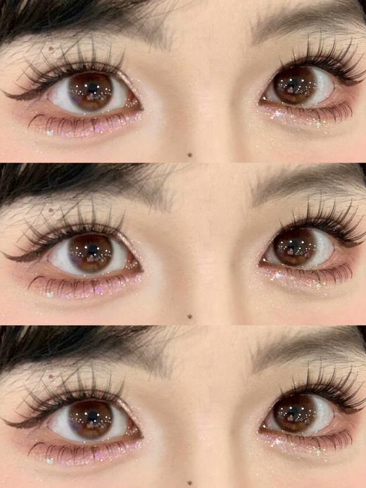 Cherrybee旗下 |  小金豆 14.2mm白狮参考着色中等直径 | 半年抛 商品图3