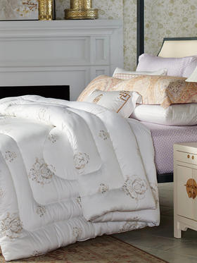 whinny/惠谊加厚保暖纤维被芯 莫利亚大豆保暖春秋被/冬被