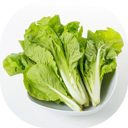 有机小白菜 商品图0