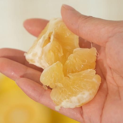 有一种橘子叫春香 又香又甜不上火 商品图3