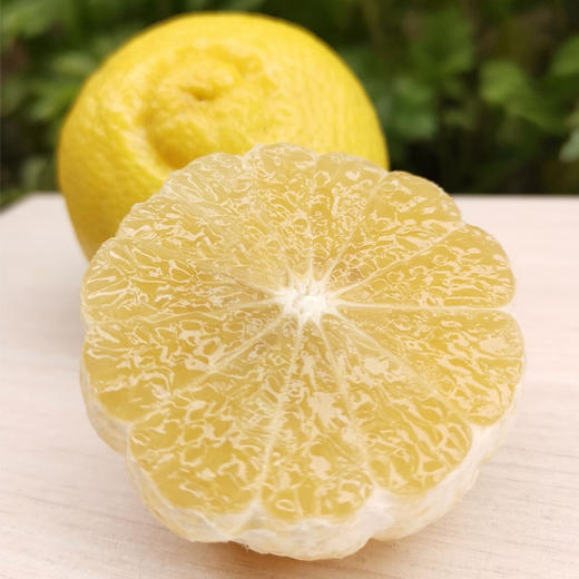 有一种橘子叫春香 又香又甜不上火 商品图2