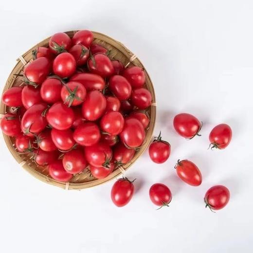 攀枝花露天小番茄 阳光千禧小番茄圣女果产地现摘现发彩箱装 顺丰包邮 商品图6