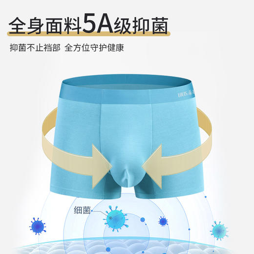 【5.6%桑蚕丝 5A透气抑菌】奥地利兰精莫代尔内裤 3条装 商品图1
