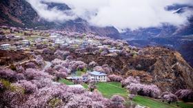 约伴行——【邂逅西藏】拉萨林芝桃花节6天