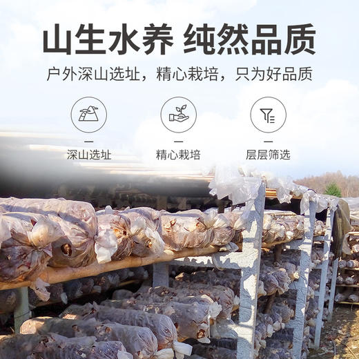 花菇400g/袋装 商品图8