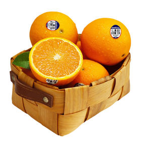 美国新奇士橙黑标脐橙3107 | 进口水果