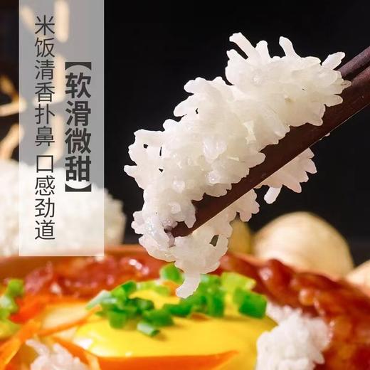 探禾广府丝苗米2.5KG 商品图2