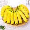 【3斤装！农家种植新鲜香蕉】产地直发，皮薄肉厚，舌尖直入心窝的软糯香甜，水果小香蕉非美人蕉 商品缩略图2