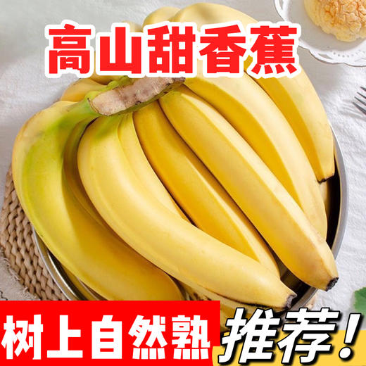 【3斤装！农家种植新鲜香蕉】产地直发，皮薄肉厚，舌尖直入心窝的软糯香甜，水果小香蕉非美人蕉 商品图0