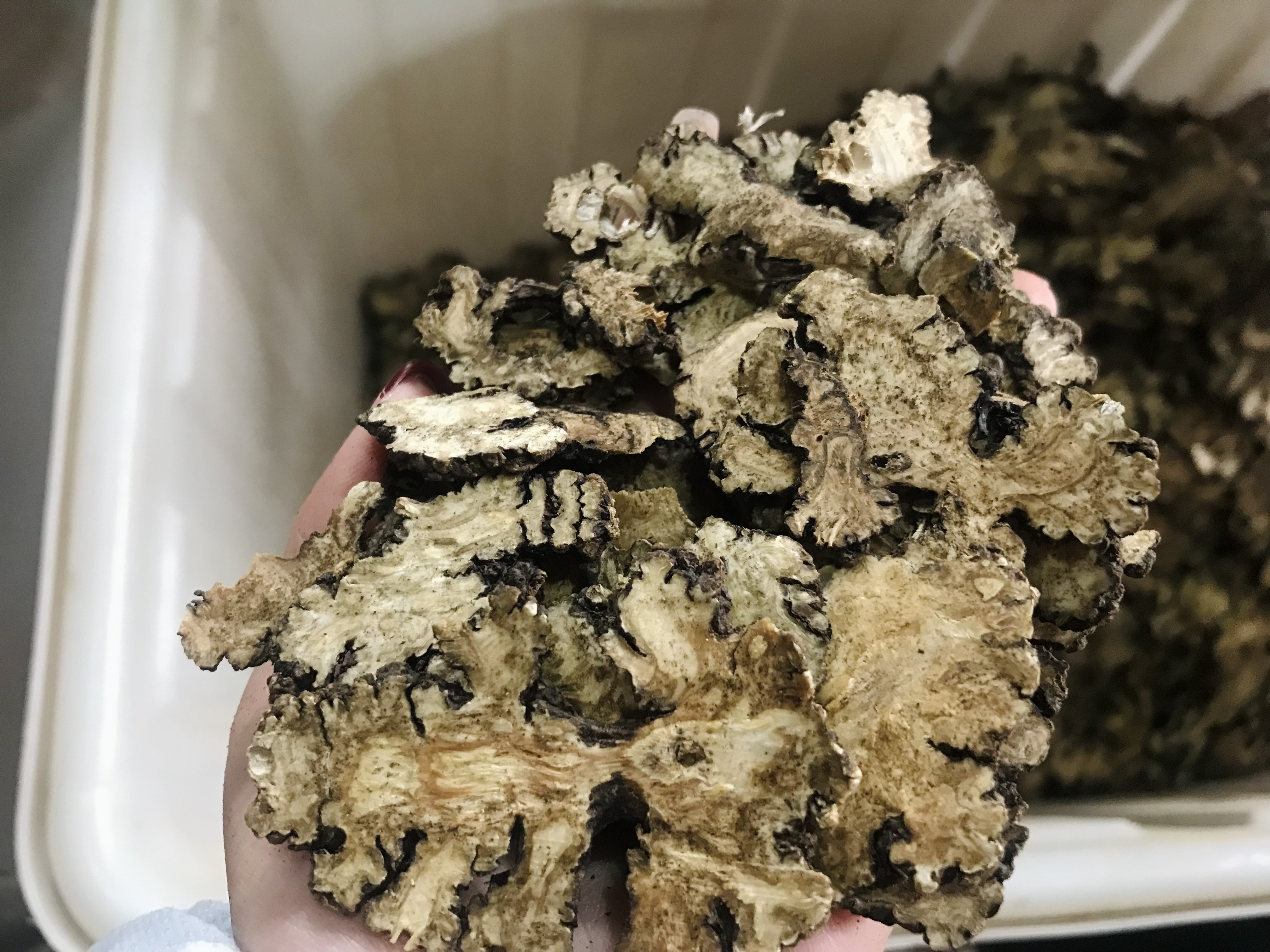 仙蒙  统货川芎薄片  大小都有   1公斤