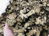 仙蒙  统货川芎薄片  大小都有   1公斤 商品缩略图2