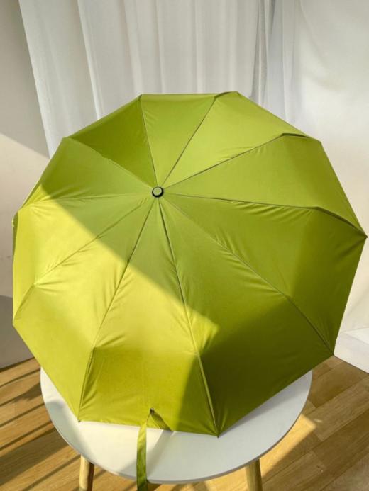 👏🏻【DIBAO小米同款自动晴雨伞】✔️1、推荐DIBAO小米同款10骨折叠雨伞，🌟一款快开自动伞，一键开合、滴水不沾、💫 商品图3