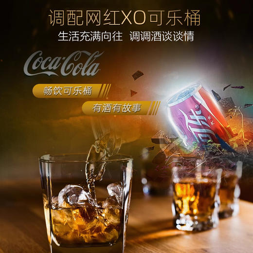 法国进口国王路易十五 XO白兰地 3L 40%Vol. 商品图2