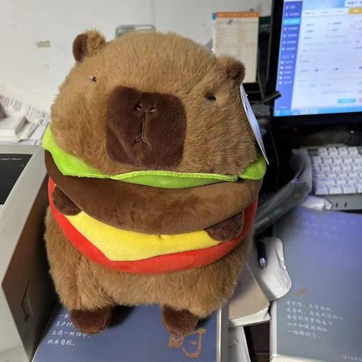 东北军大衣卡皮巴拉公仔玩偶卡皮吧啦花棉袄 商品图3