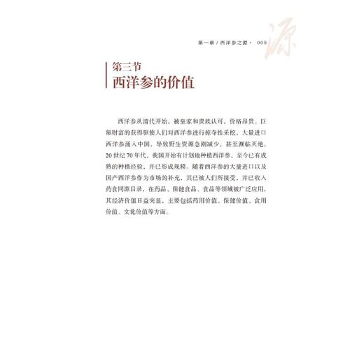 探秘西洋参 商品图1