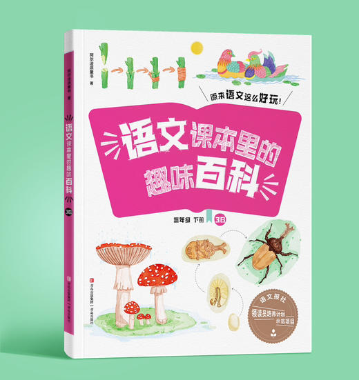 语文课本里的趣味百科（1-6年级 上下册）语文报领读员计划示范项目 连岳专属 商品图3