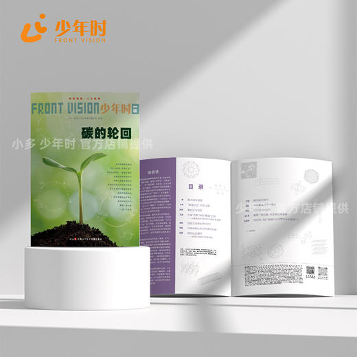 少年时91 碳的轮回 商品图2