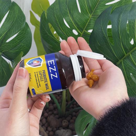 EZZ 舒鼻益生菌胶囊  60粒/瓶 商品图3