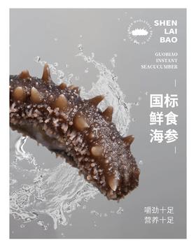 自营（金参水产）-冷蒸鲜食海参