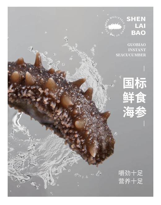 自营（金参水产）-冷蒸鲜食海参 商品图0