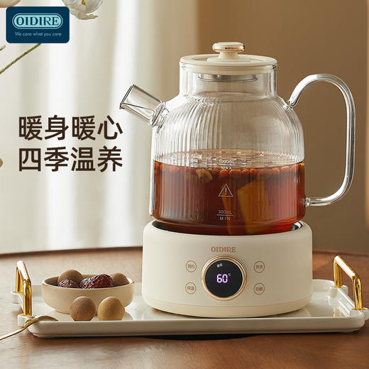 【直发】德国OIDIRE 智能花茶壶  ODI-HC01 商品图1