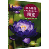澳系睡莲品种及高效栽培技术图鉴 商品缩略图0