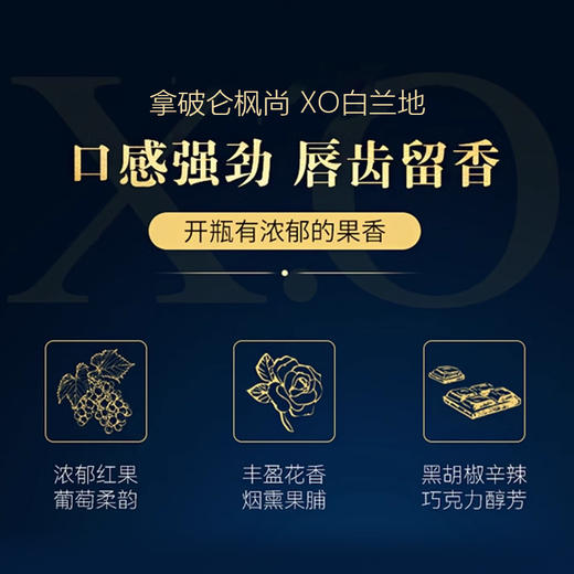 法国进口拿破仑枫尚 XO白兰地 700ml 32%Vol. 商品图3
