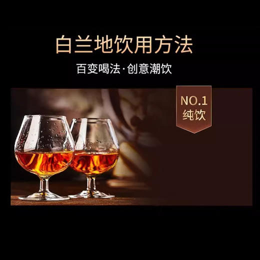 法国进口承印XO3000ml 40%Vol. 商品图1