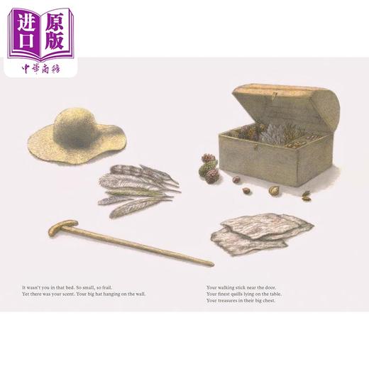 【中商原版】生命教育 我希望跟你说 I Wish I Could Tell You 英文原版 儿童绘本 亲子读物 故事图画书 精装 进口童书 4-8岁 商品图3