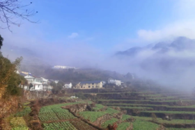  家园落地杭州——胥岭考察行 