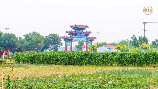 沧州慢姑娘敬亭轩别墅轰趴 商品图9