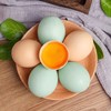 【泾川馆—艺果优品】林下散养土鸡土鸡蛋产地直发 商品缩略图2
