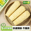 ⁴【限时49.9元10根】优质杂粮 白甜糯玉米棒 3分甜7份糯 黑龙江黑土地种植 鲜食加热 真空包装 即食杂粮 240g/根【贵州遵义溯源】YC04-CRMM-QZN 商品缩略图1