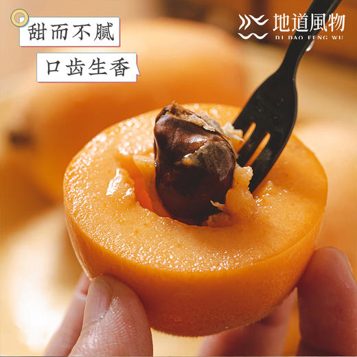 四川米易  五星枇杷  规格任选 商品图2