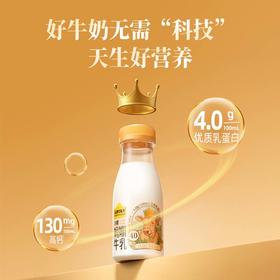 【72小时发货】认养一头牛 冷藏娟姗牛乳200ml*12