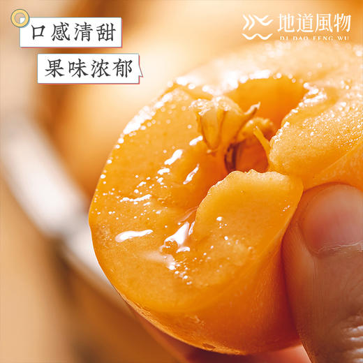 四川米易  五星枇杷  规格任选 商品图1