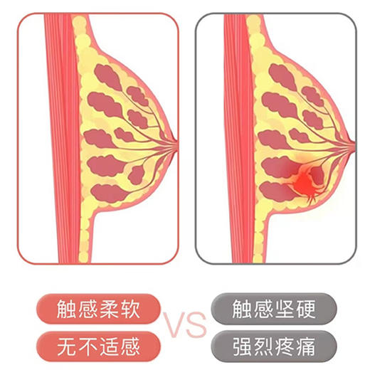 美国制造康美森玫瑰番茄呵护乳腺复合片 商品图1