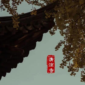 相约南京城内最大的银杏谷，体验满地金黄的秋天（南京活动）