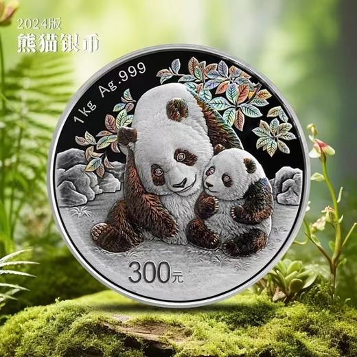 2024年熊猫精制银币 大规格 光变鳞彩熊猫币 商品图2